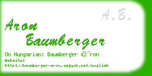 aron baumberger business card